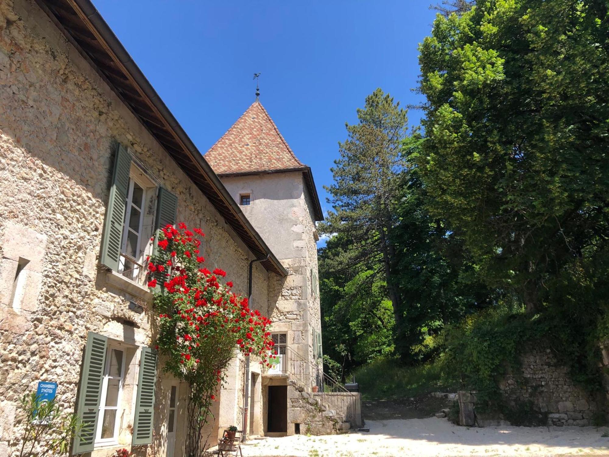 Domaine du Très-Haut - Château de Montanges Extérieur photo