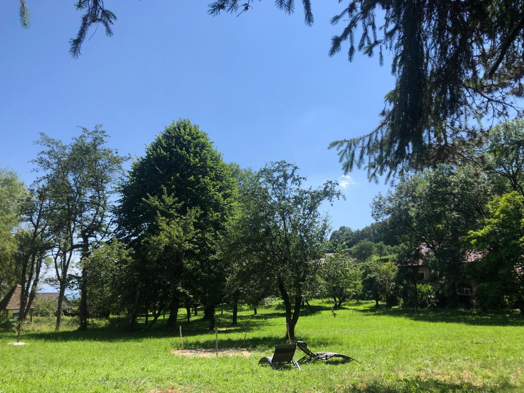 Domaine du Très-Haut - Château de Montanges Extérieur photo